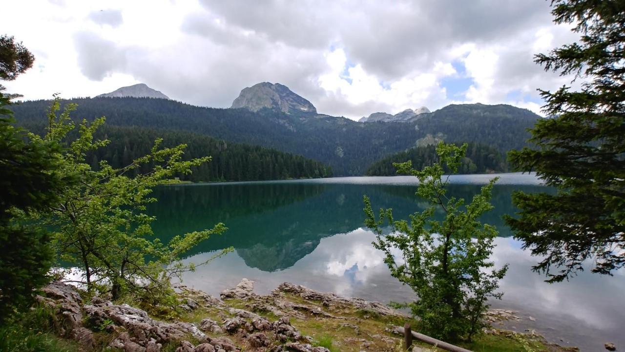 High Haven Durmitor Žabljak Exterior foto