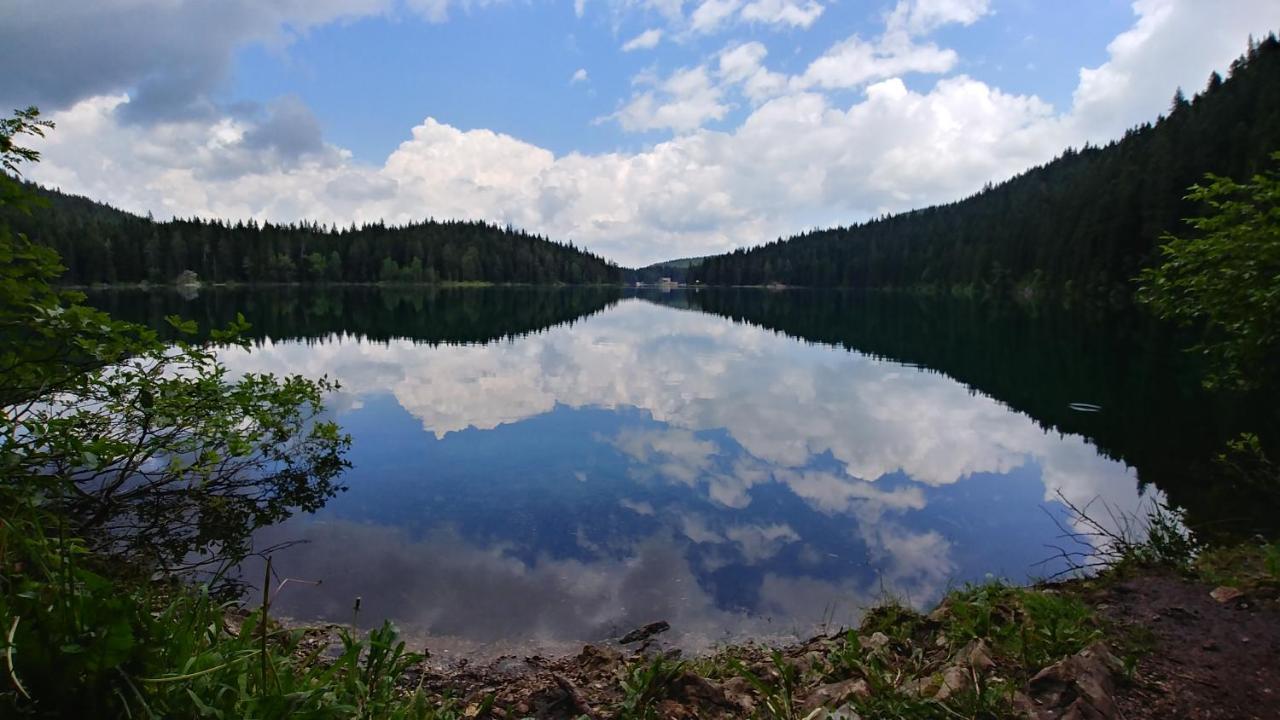 High Haven Durmitor Žabljak Exterior foto