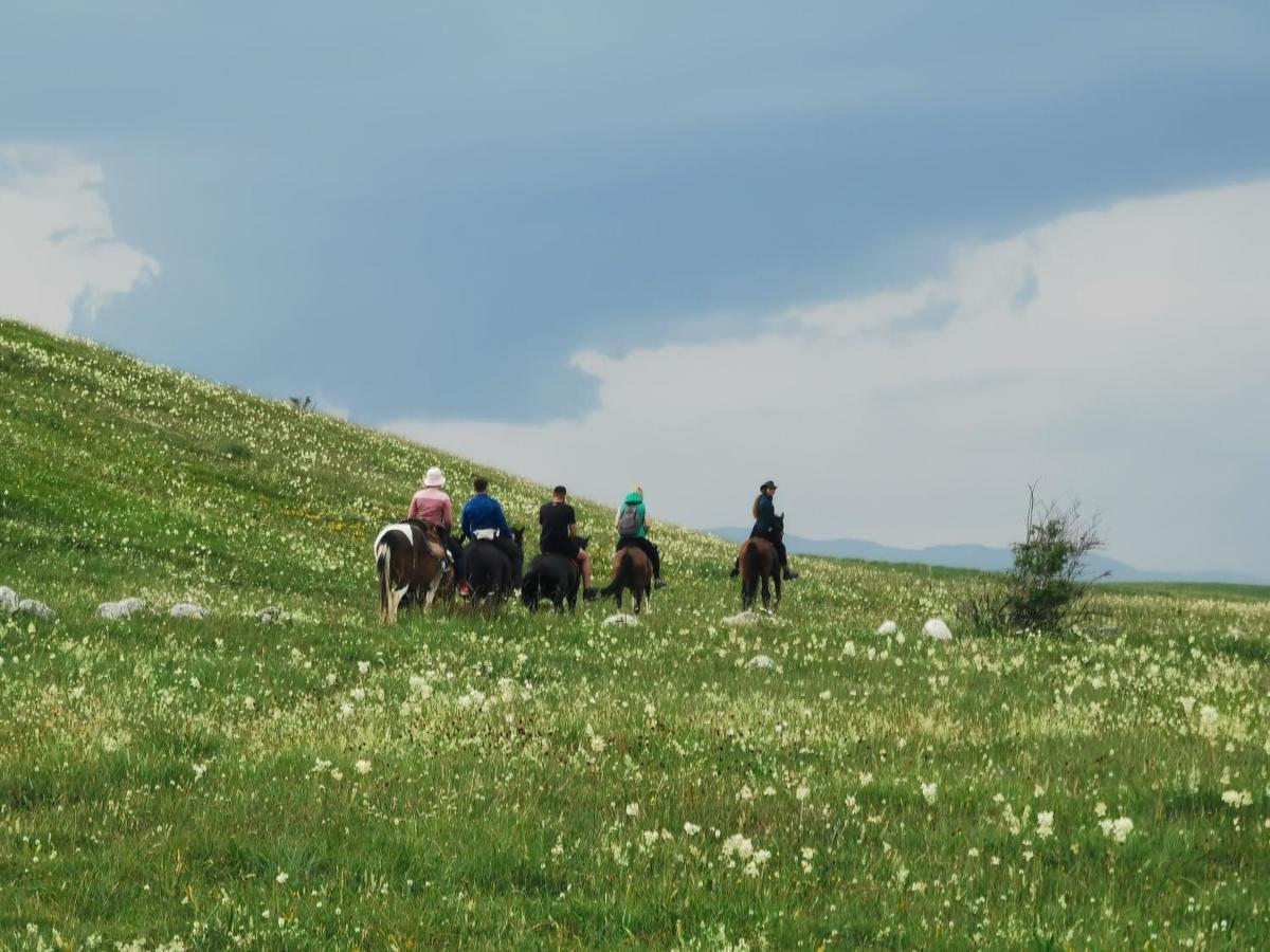 High Haven Durmitor Žabljak Exterior foto
